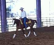 Smooth Ridin Caddy